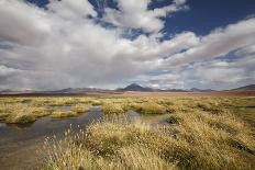 Chile, Pampas Incahuasi, Ischu Grass, Lagoon-Jutta Ulmer-Photographic Print