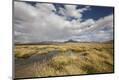 Photographic Print