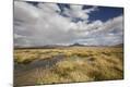 Photographic Print