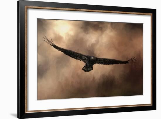 Juvenile Bald Eagle in the Sepia Sky-Jai Johnson-Framed Giclee Print