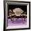 Juvenile Cockroach-null-Framed Photographic Print