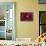 Juvenile Golden Damselfish-Matthew Oldfield-Framed Premier Image Canvas displayed on a wall