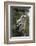 Juvenile Great Horned Owl, Alaska, USA-Gerry Reynolds-Framed Photographic Print