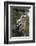 Juvenile Great Horned Owl, Alaska, USA-Gerry Reynolds-Framed Photographic Print