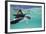 Juvenile Green Sea Turtle (Chelonia Mydas)-Stephen Frink-Framed Photographic Print