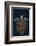 Juvenile Green Turtle (Chelonia Mydas) Armenime Cove, South Tenerife, Canary Island, Atlantic Ocean-Jordi Chias-Framed Photographic Print