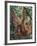 Juvenile Orangutan Swinging Between Branches in Tanjung National Park, Borneo-Theo Allofs-Framed Photographic Print