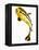 Juvenile Oriental sweetlip fish-Martin Harvey-Framed Premier Image Canvas