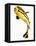 Juvenile Oriental sweetlip fish-Martin Harvey-Framed Premier Image Canvas