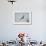 Juvenile Red-Tailed Hawk (Buteo Jamaicensis) in Flight-James Hager-Framed Photographic Print displayed on a wall