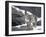 Juvenile Snow Leopard-Lynn M^ Stone-Framed Photographic Print