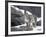 Juvenile Snow Leopard-Lynn M^ Stone-Framed Photographic Print