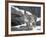 Juvenile Snow Leopard-Lynn M^ Stone-Framed Photographic Print