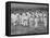 Juvenile Southern Chain Gang Convicts at Work in the Fields, Ca. 1903-null-Framed Stretched Canvas