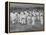 Juvenile Southern Chain Gang Convicts at Work in the Fields, Ca. 1903-null-Framed Stretched Canvas