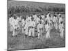 Juvenile Southern Chain Gang Convicts at Work in the Fields, Ca. 1903-null-Mounted Photo