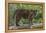 Juvenile Sumatran Tiger (Panthera Tigris Sumatrae), Aged Four Months, Captive-Edwin Giesbers-Framed Premier Image Canvas