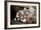 Juvenile Sweetlips-Matthew Oldfield-Framed Photographic Print