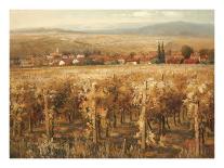 Italian Golden Vineyard-K^ Adams-Art Print