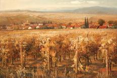 Italian Golden Vineyard-K^ Adams-Art Print