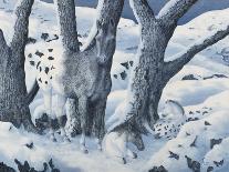 Snowy Spring Fox-K.C. Grapes-Framed Giclee Print