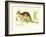 K is for Kangaroo-null-Framed Art Print