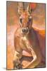 K is for Kangaroo-Rita Kirkman-Mounted Art Print