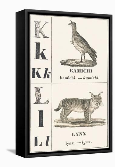 K L: Kamichi — Lynx, 1850 (Engraving)-Louis Simon (1810-1870) Lassalle-Framed Premier Image Canvas