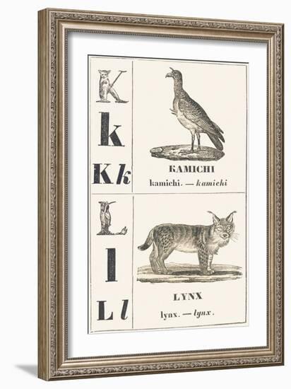 K L: Kamichi — Lynx, 1850 (Engraving)-Louis Simon (1810-1870) Lassalle-Framed Giclee Print