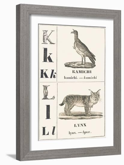 K L: Kamichi — Lynx, 1850 (Engraving)-Louis Simon (1810-1870) Lassalle-Framed Giclee Print