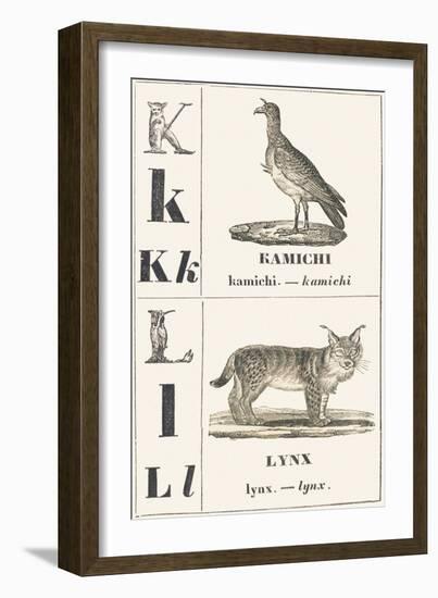 K L: Kamichi — Lynx, 1850 (Engraving)-Louis Simon (1810-1870) Lassalle-Framed Giclee Print