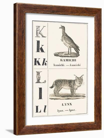 K L: Kamichi — Lynx, 1850 (Engraving)-Louis Simon (1810-1870) Lassalle-Framed Giclee Print