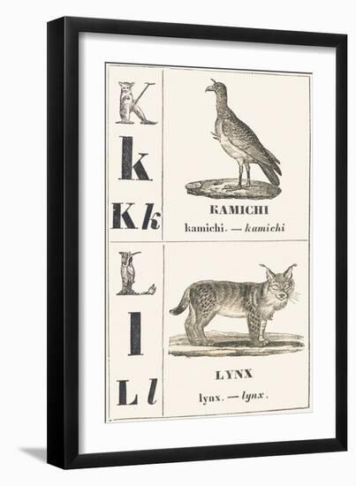 K L: Kamichi — Lynx, 1850 (Engraving)-Louis Simon (1810-1870) Lassalle-Framed Giclee Print