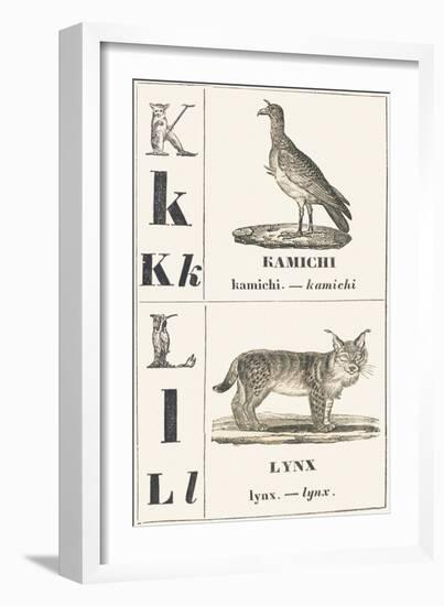 K L: Kamichi — Lynx, 1850 (Engraving)-Louis Simon (1810-1870) Lassalle-Framed Giclee Print