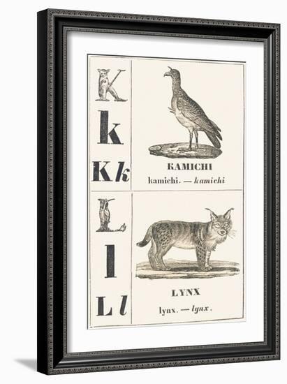 K L: Kamichi — Lynx, 1850 (Engraving)-Louis Simon (1810-1870) Lassalle-Framed Giclee Print