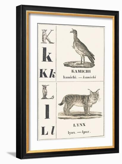 K L: Kamichi — Lynx, 1850 (Engraving)-Louis Simon (1810-1870) Lassalle-Framed Giclee Print