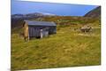 Photographic Print