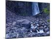 Photographic Print