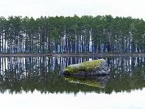 Sweden, Stone Storsjon Lake in ostersund, Pine Forest Island-K. Schlierbach-Photographic Print