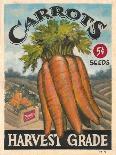 Fresh Carrots-K. Tobin-Art Print
