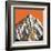 K2-HR-FM-Framed Art Print