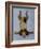 K9 Contornionist-Leah Saulnier-Framed Giclee Print