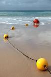 Stinger Jellyfish Protection Net at the Beach. Typical Scene in Eastern Australia.-kaarsten-Framed Photographic Print