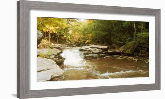 Kaaterskill Falls Stream Through the Forest of the Catskill Mountains, New York State, USA-null-Framed Photographic Print