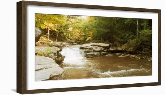 Kaaterskill Falls Stream Through the Forest of the Catskill Mountains, New York State, USA-null-Framed Photographic Print