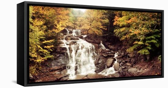 Kaaterskill Falls Stream Through the Forest of the Catskill Mountains, New York State, USA-null-Framed Stretched Canvas