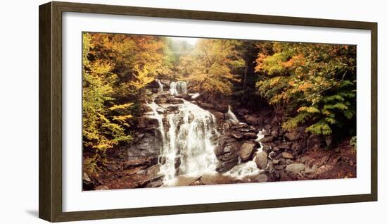 Kaaterskill Falls Stream Through the Forest of the Catskill Mountains, New York State, USA-null-Framed Photographic Print