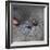 Kabbadi-Charlie Harding-Framed Photographic Print