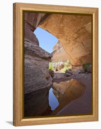 Kachina Natural Bridge, Natural Bridges National Monument, Utah, USA-James Hager-Framed Premier Image Canvas