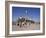 Kadoumia Mosque, Baghdad, Iraq, Middle East-Nico Tondini-Framed Photographic Print